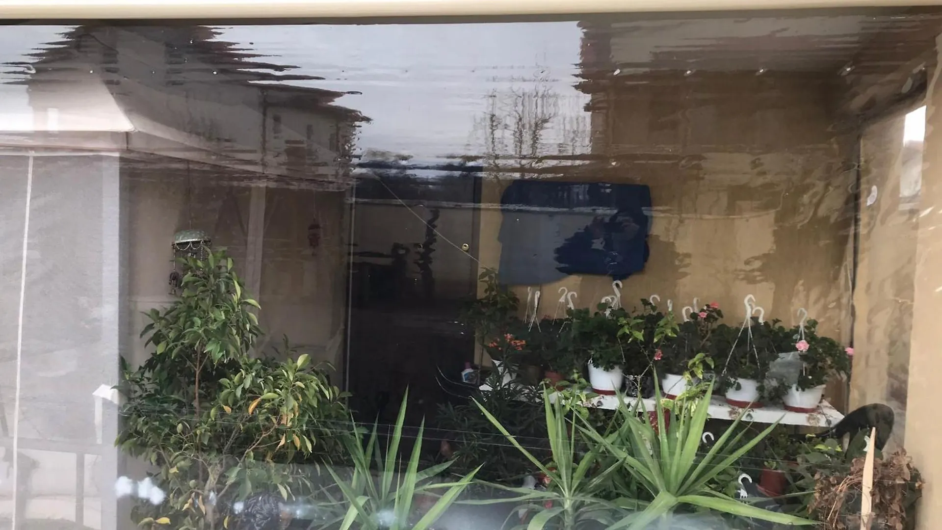 Vila Elena Bukarest Privatunterkunft